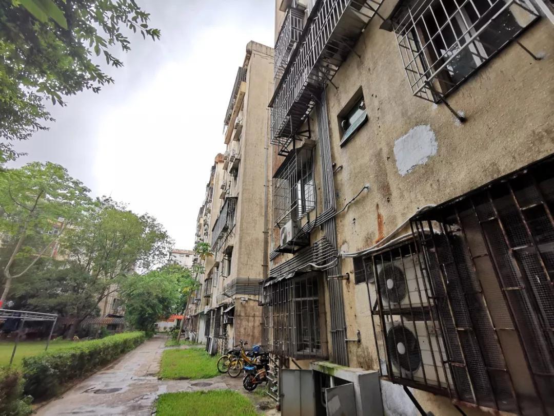 自建房_自建烘干房视频_自建烧煤烘干房图片