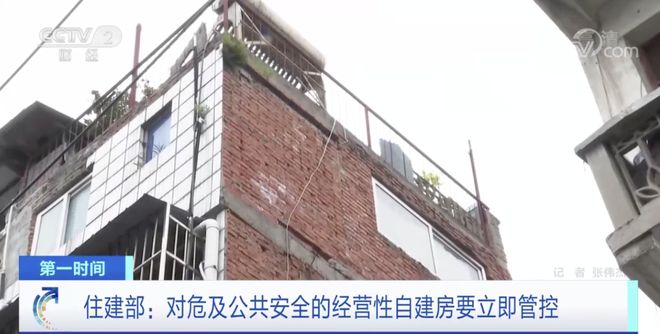 农村自建房指南_农村自建双拼房_农村自建双拼房设计图