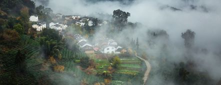 农村自建房指南_自建农村房合同书_自建农村房设计图