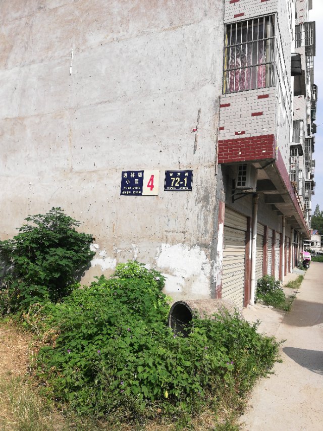 自建房 岳阳楼区禁违办和王家河街道组织消防、公安、医疗等部门拆除-图纸大全