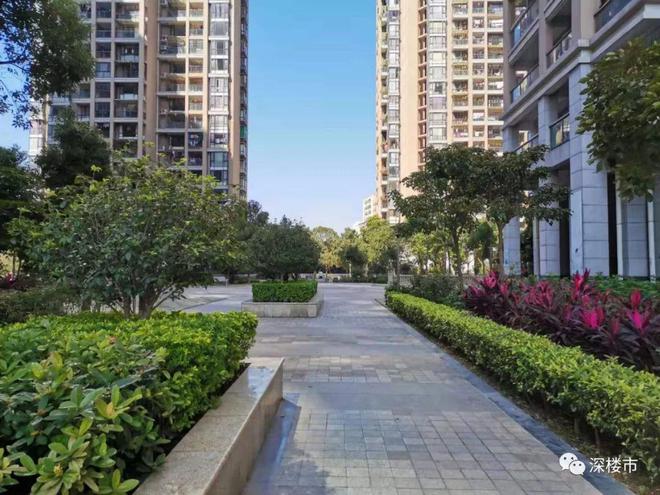 自建小别墅成本_自建泳池成本_自建房成本