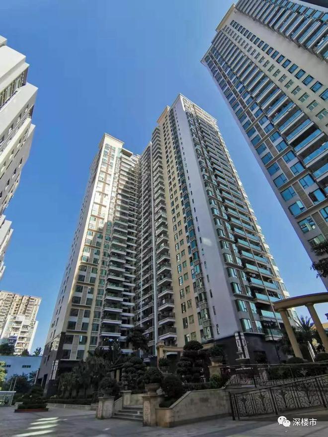 自建房成本_自建小别墅成本_自建泳池成本