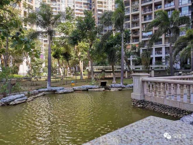 自建房成本_自建泳池成本_自建小别墅成本