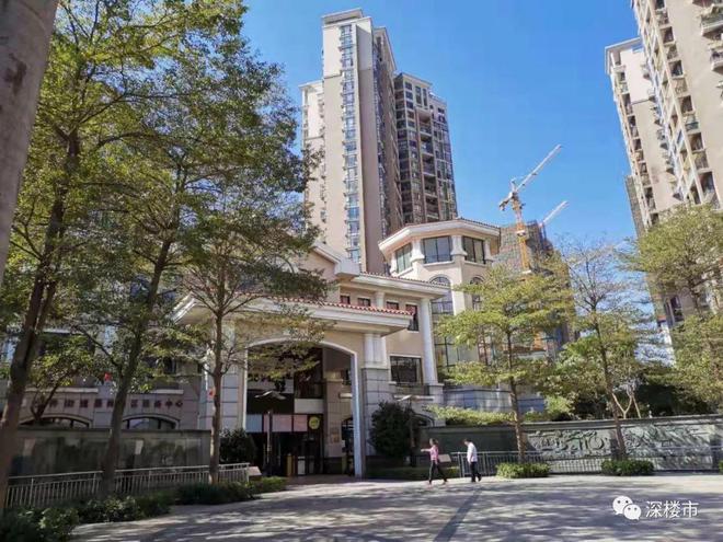 自建房成本_自建泳池成本_自建小别墅成本