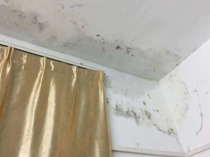 自建农村房设计图_农村自建双拼房设计图_什么是自建房