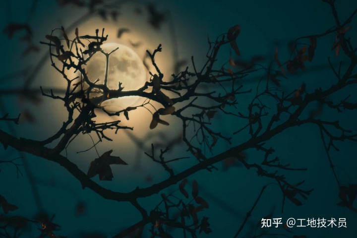 农村自建房指南 思越木结构|理想很美好，现实很骨感。-图纸大全