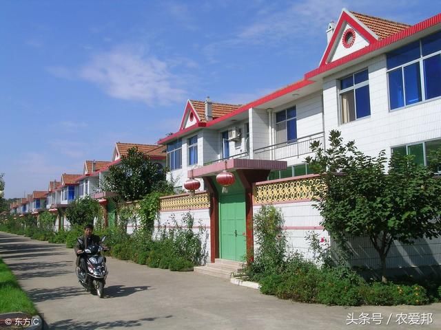 山东省人民政府关于推进农村住房建设与危房改造的意见(图)-图纸大全