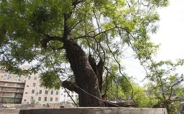农村自建一层房设计图_自建烘干房视频_农村自建房