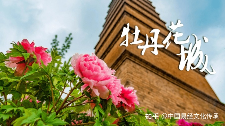 自建农村房合同_农村自建普通二层房_农村自建房