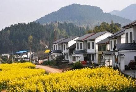2020年农村宅基地可以自由买卖了，是真的吗？-图纸大全